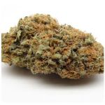 Шишки AK47  (Гидропоника, Бошка) VHQ в Заинске